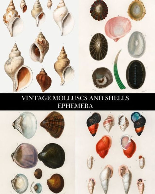 Vintage Molluscs and Shell Ephemera: Conchology Decorative Paper for Collages, Decoupage and Junk Journals