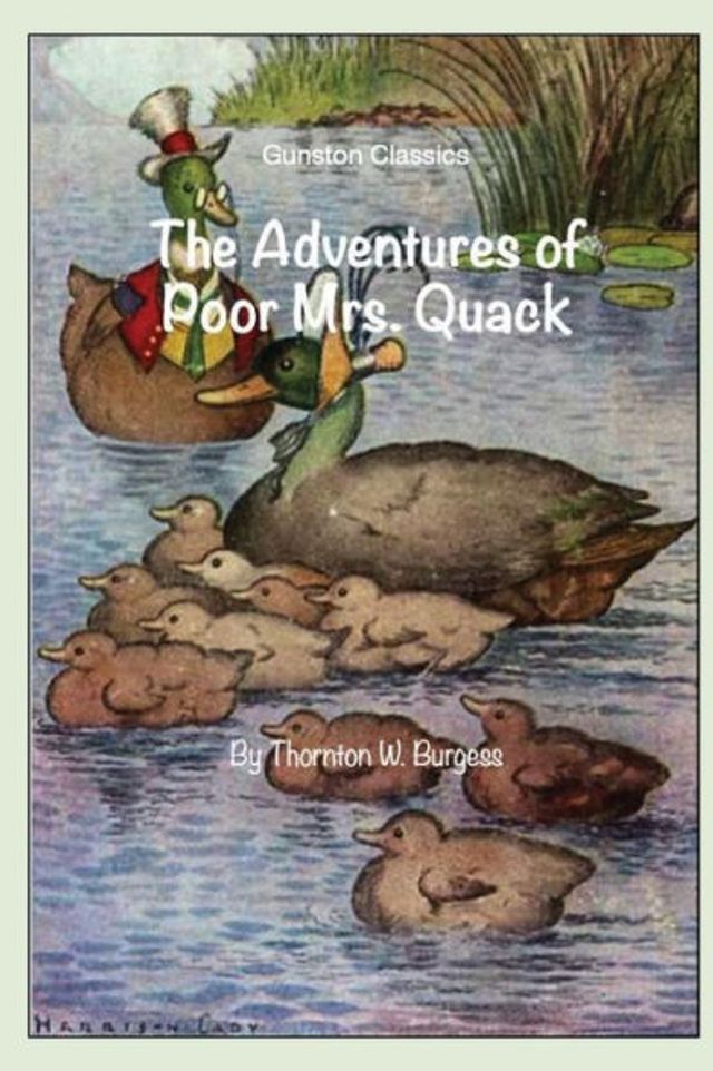 THE ADVENTURE OF POOR MRS. QUACK