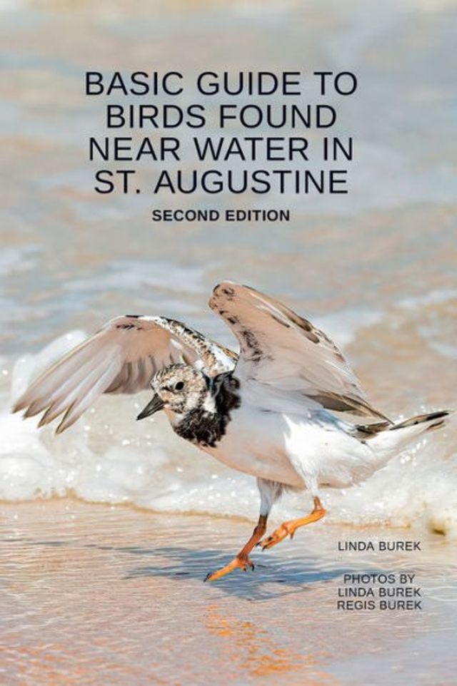 Barnes and Noble Basic Guide to Birds Found Near Water in St. Augustine |  The Summit