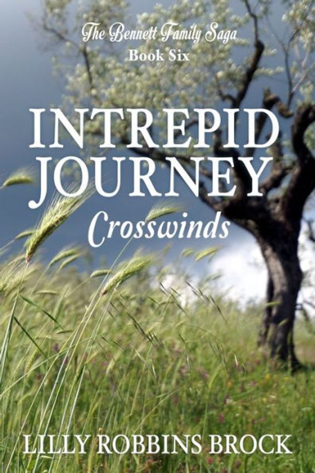 Intrepid Journey: Book Six: Crosswinds