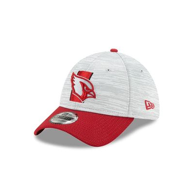 : New Era Men's Pink Arizona Cardinals 2023 NFL Crucial Catch  39THIRTY Flex Hat : Sports & Outdoors