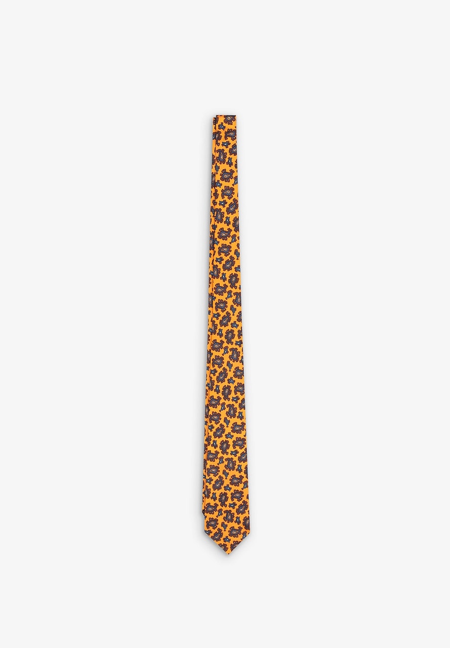 PAISLEY TIE