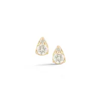 Sophia Ryan Petite Teardrop´studs