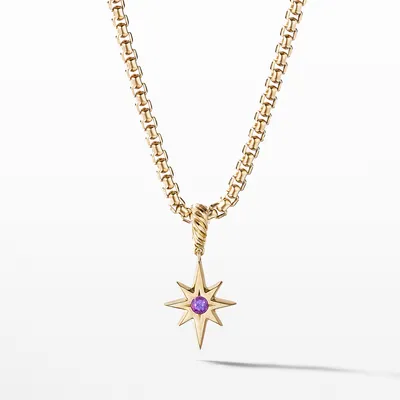 North Star Birthstone Amulet in 18K Yellow Gold with Amethyst