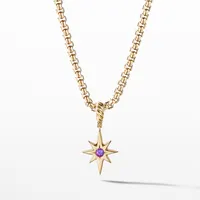 North Star Birthstone Amulet in 18K Yellow Gold with Amethyst