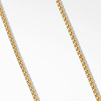 Box Chain Necklace in Brushed 18K Yellow Gold