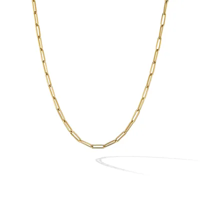 Chain Link Necklace in 18K Yellow Gold