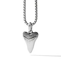 Shark Tooth Amulet in Sterling Silver