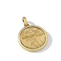 Storm Duality Amulet in 18K Yellow Gold