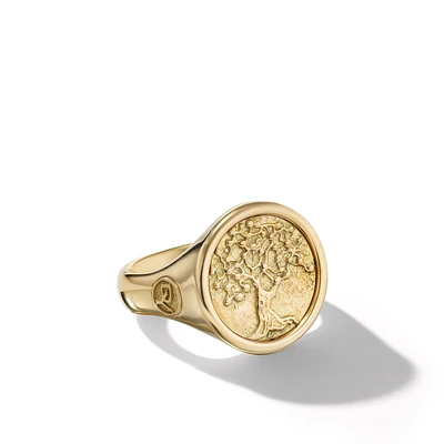 Life and Death Duality Signet Ring in 18K Yellow Gold, 20mm