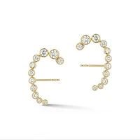 Polaris Earrings