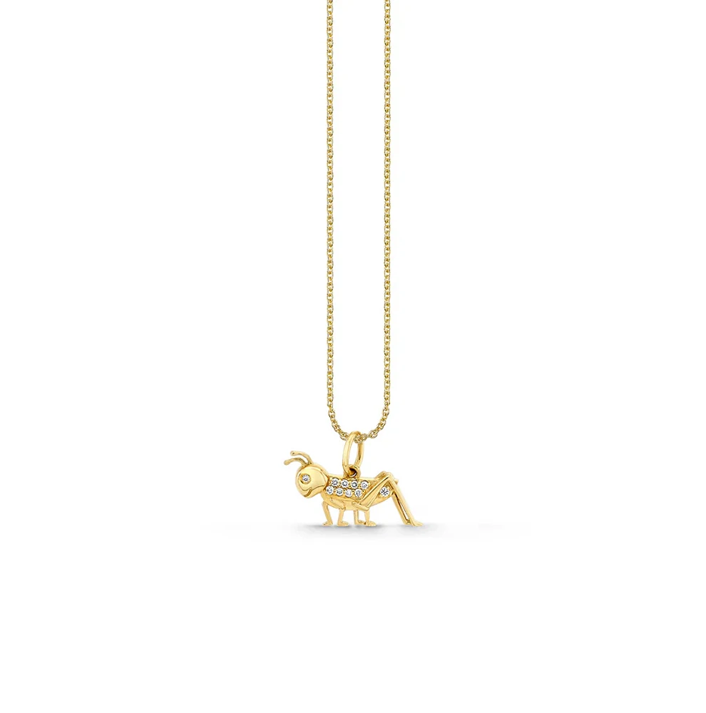 Gold & Diamond Cricket Charm