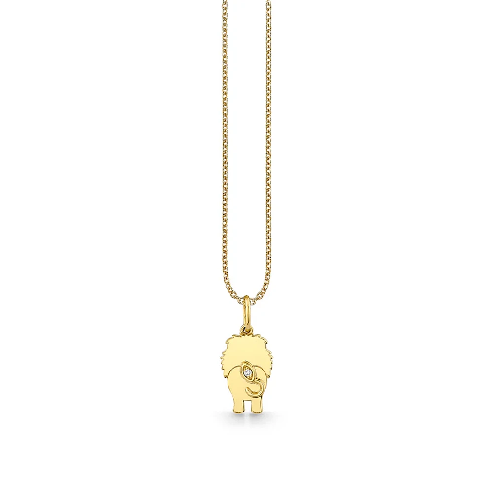 Lion Tail Charm Necklace