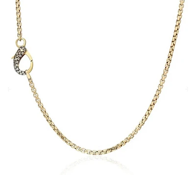 Box Chain with Diamond Parrot Lock