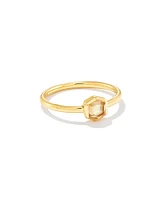 Davie 18k Gold Vermeil Band Ring Amethyst