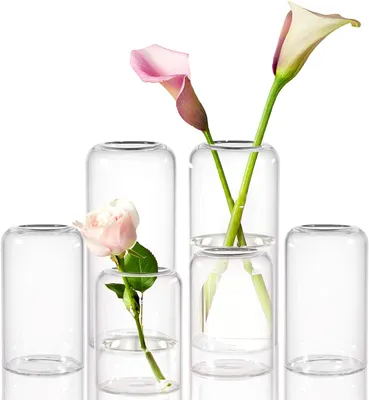 Modern Bud Vase - Clear Glass Small