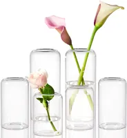 Modern Bud Vase - Clear Glass Small