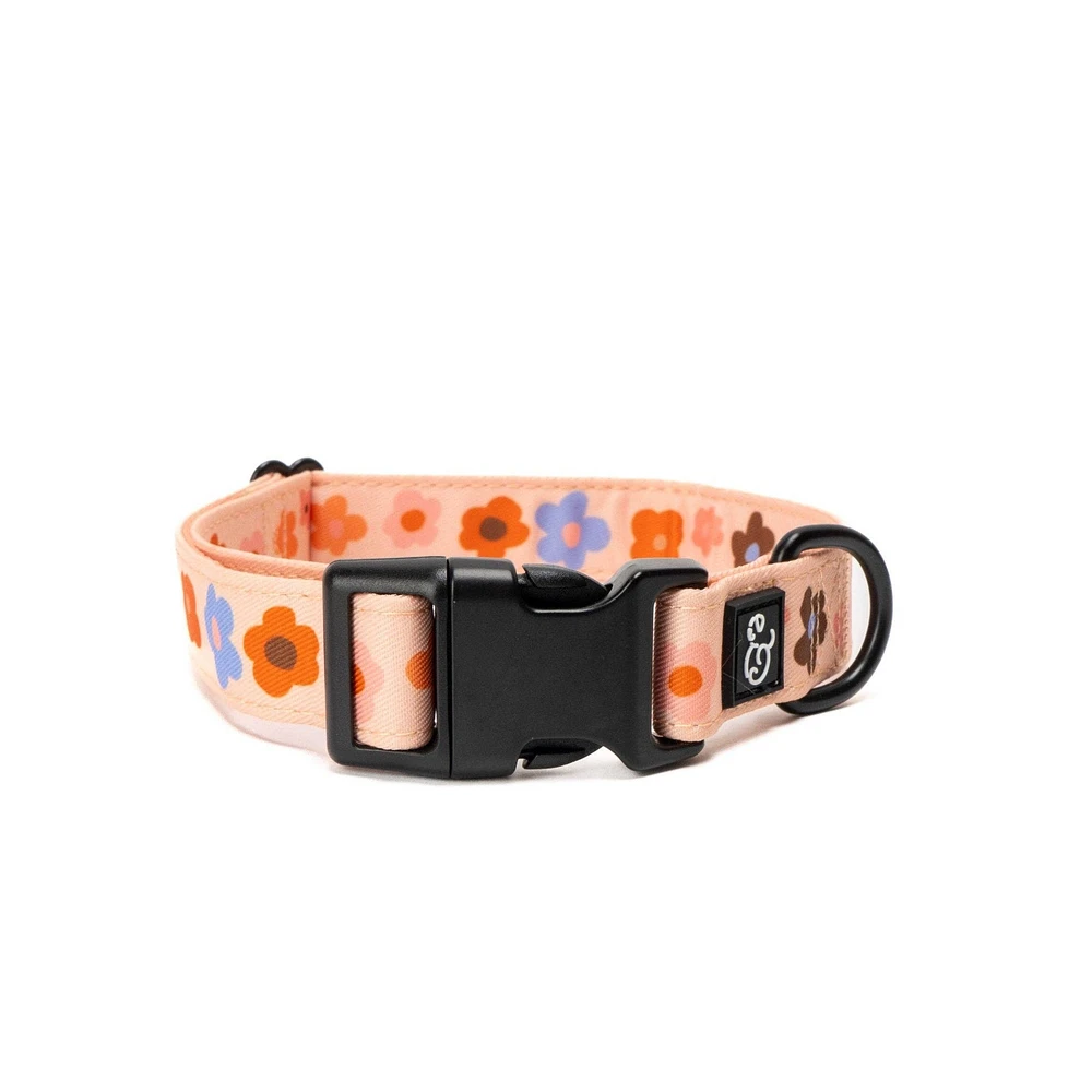 The Let's Groove Dog Collar - Small