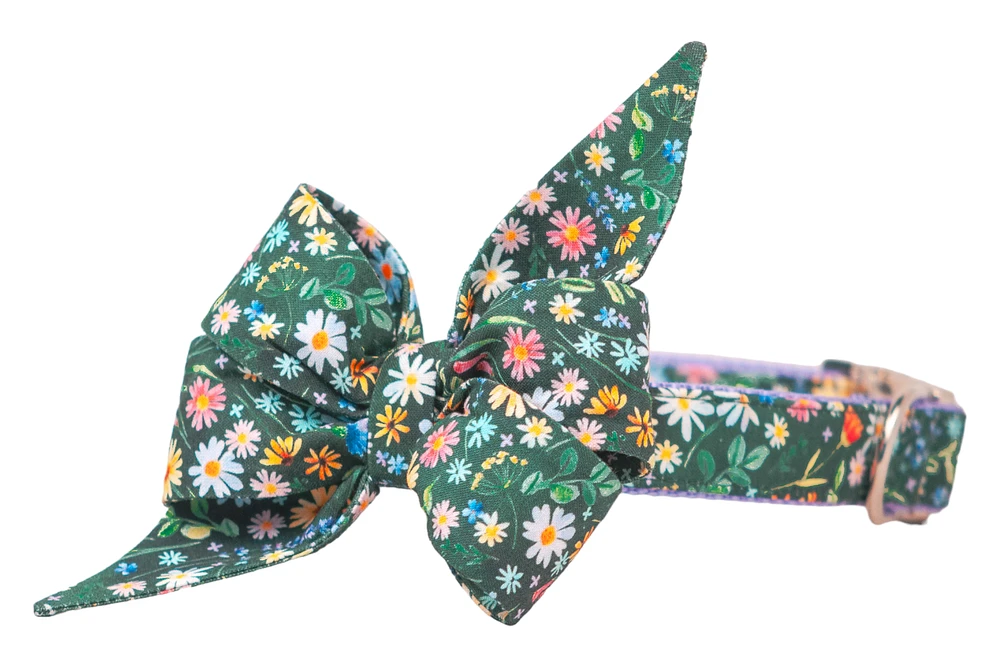 Bloom Time Belle Bow Dog Collar : Silver / Large (1