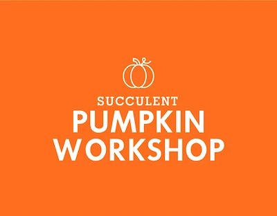 Succulent Pumpkin Workshop - Monday Nov 4 | 6:30-7:30PM / Orange