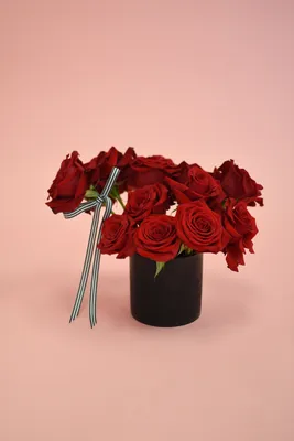 Roses by the Dozen - 12 Wrapped / Red