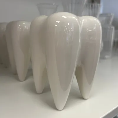 Tooth vase