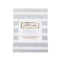 Well-Kept Screen Wipes - Gray Stripe