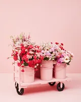 BLOOM BUCKET - Bright & Cheery