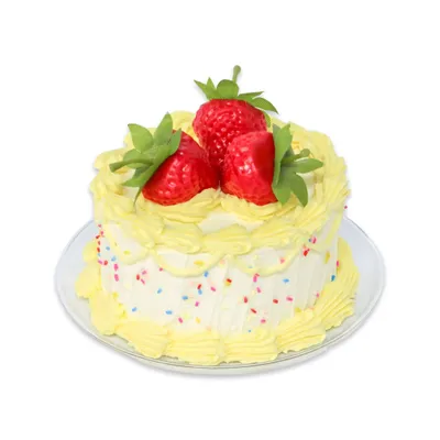 Strawberry Sprinkle Fake Cake Craft Kit