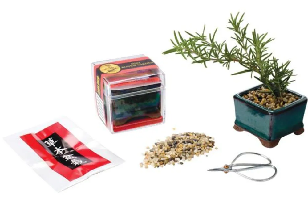 Mini Bonsai Kit