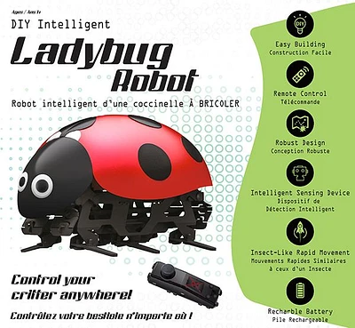 DIY Ladybug Robot