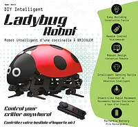 DIY Ladybug Robot