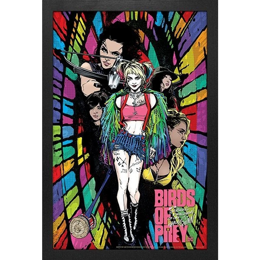 Harley Quinn – Birds Of Prey – Rainbow 13″ x 19″ Framed Wall Art