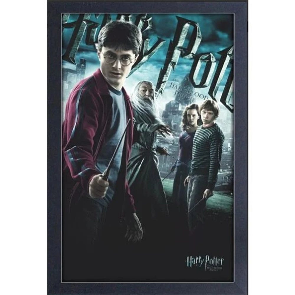 Harry Potter – Half Blood Prince 13″ x 19″ Framed Wall Art