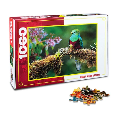 Costa Rican Quetzal 1000 Pieces Jigsaw Puzzle