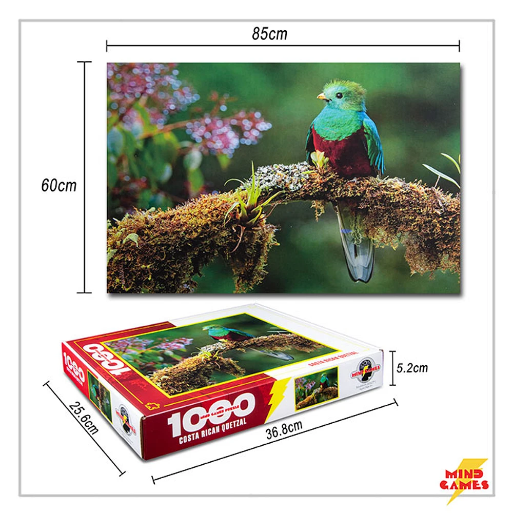 Costa Rican Quetzal 1000 Pieces Jigsaw Puzzle