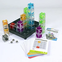 Gravity Maze Marble Puzzle