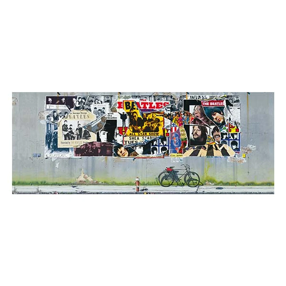 Anthology Wall – 1000Pc Panoramic Jigsaw Puzzle