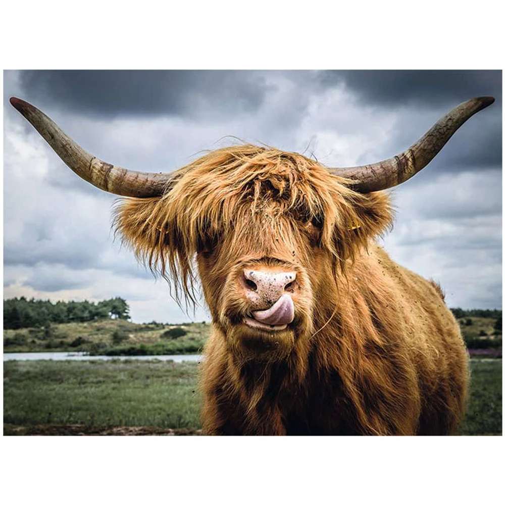 Ravensburger Puzzle Moments: Highland Cattle 300 Pieces Puzzle