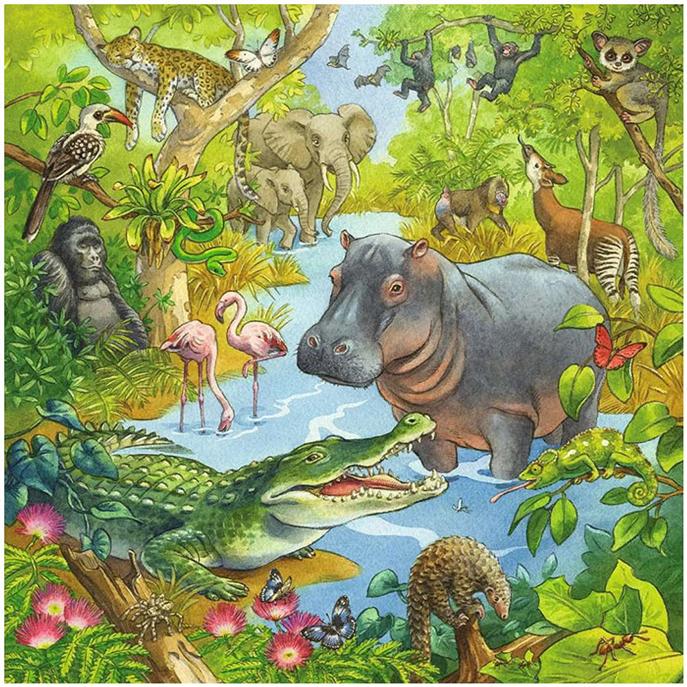 Ravensburger Jungle Fun, 3 x 49 PC Puzzle