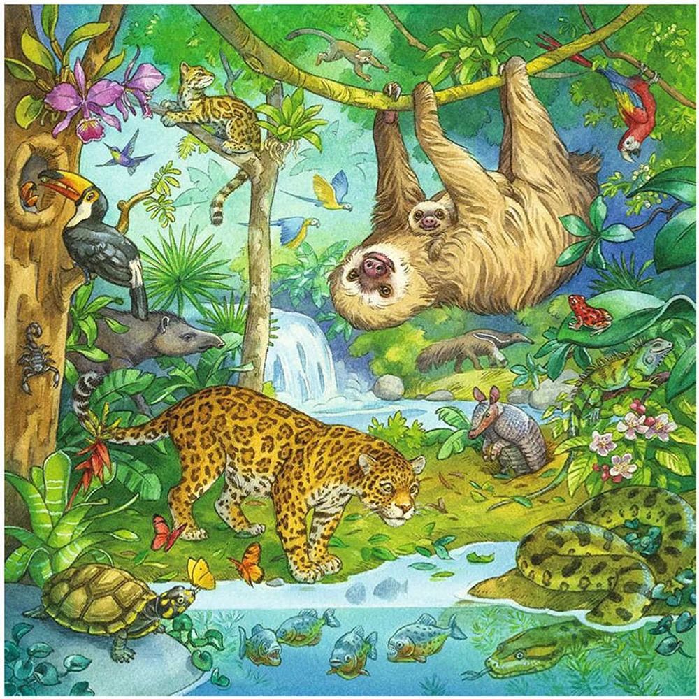 Ravensburger Jungle Fun, 3 x 49 PC Puzzle