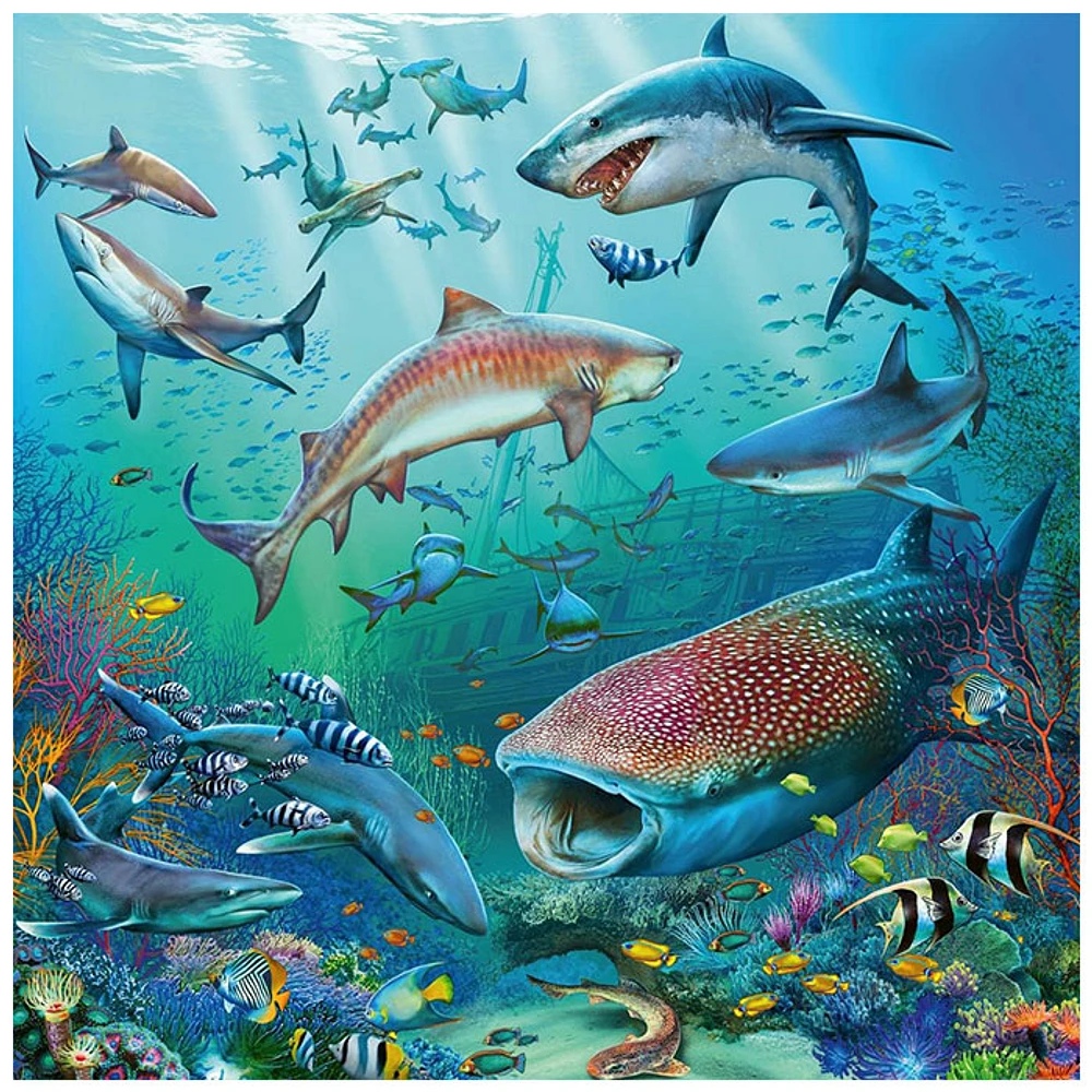 Ravensburger Ocean Life, 3 x 49 PC Puzzle