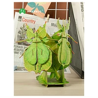 3D Puzzle Leaf Insect – 35 Pieces