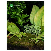 3D Puzzle Leaf Insect – 35 Pieces