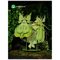 3D Puzzle Leaf Insect – 35 Pieces