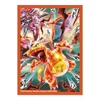 Pokemon TCG Charizard ex Premium Collection