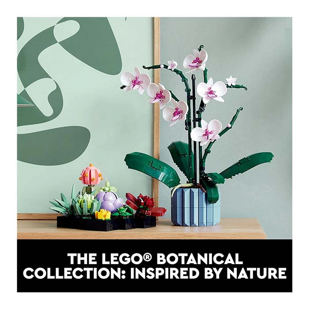 LEGO Icons Succulents Botanical Collections 771 Pcs