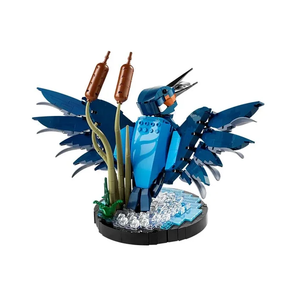 LEGO Icons Kingfisher Bird Model – 834 Pieces