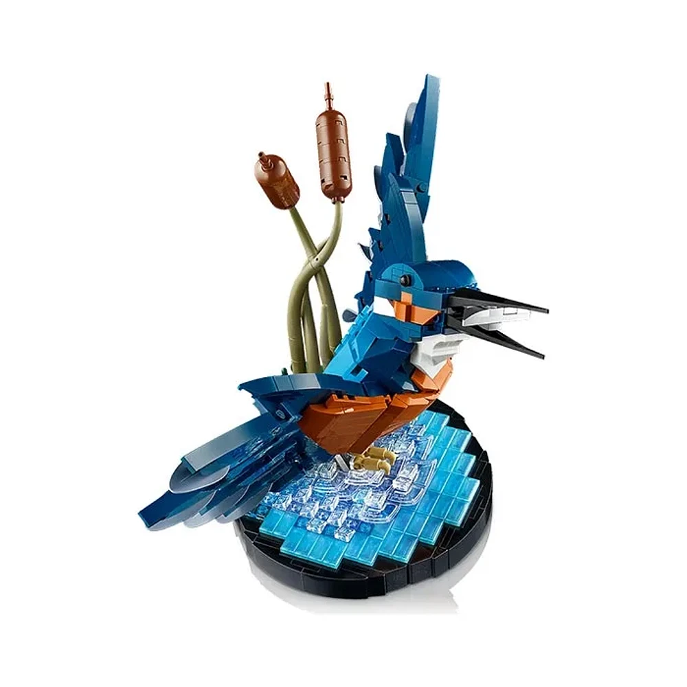 LEGO Icons Kingfisher Bird Model – 834 Pieces