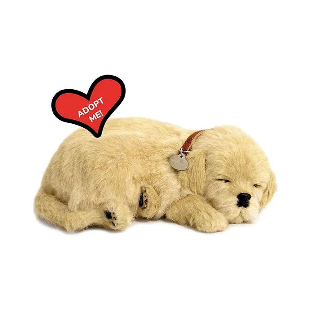 Perfect Petzzz – Original Petzzz Golden Retriever